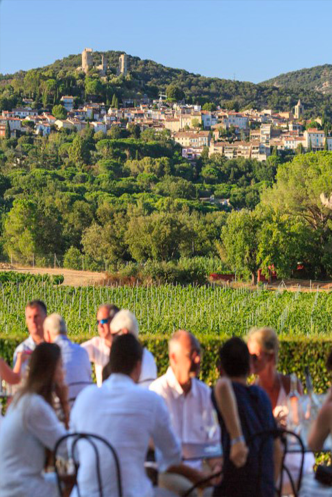 baravin wine tourism