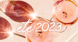 Summer banner 2023 1