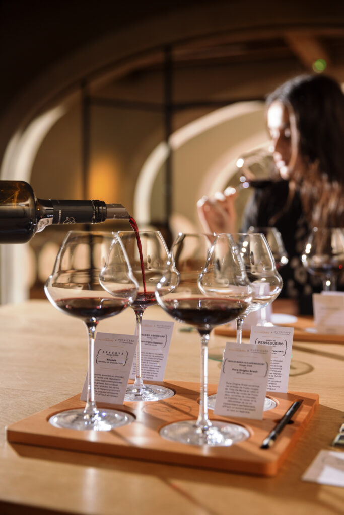 Photo - Vignoble & Chais Saint Maur 01 2023 BD 053" Saint Maur 01 2023 BD 053