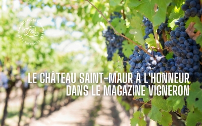 bendeau actu 11
