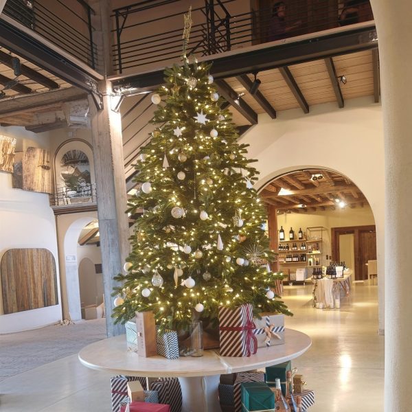 WhatsApp Image 2025-11-24 à 16.42.38_9aaff9f3